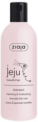 Plaukų ir galvos odos šampūnas Ziaja Jeju, 300 ml kaina ir informacija | Šampūnai | pigu.lt