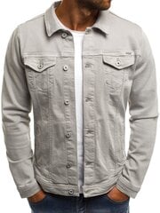 Куртка для мужчин Spring, серая цена и информация | Мужские куртки | pigu.lt