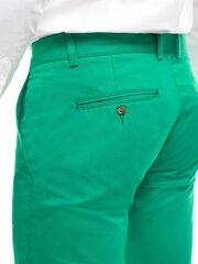 Kelnės vyrams Mister, žalios цена и информация | Мужские брюки | pigu.lt