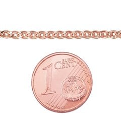 Золотая цепочка Мона-лиза 2.1 мм , облегченное, алмазная обработка граней цена и информация | Украшения на шею | pigu.lt