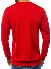 Džemperis vyrams Bone, raudonas kaina ir informacija | Džemperiai vyrams | pigu.lt