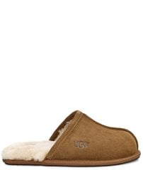 Šepetės vyrams Ugg, rudos цена и информация | Мужские шлепанцы, босоножки | pigu.lt