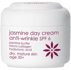 Увлажняющий дневной крем для зрелой кожи SPF 6 Ziaja Anti-wrinkle Jasmine, 50 мл цена и информация | Кремы для лица | pigu.lt