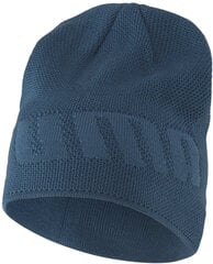 Puma Вязаные шапки Active Blue цена и информация | Женские шапки | pigu.lt
