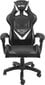 Žaidimų kėdė Fury Avenger L, juoda/balta kaina ir informacija | Biuro kėdės | pigu.lt