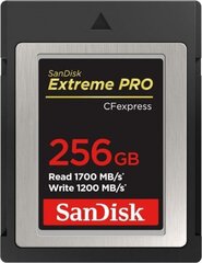 SanDisk CFexpress 256 GB цена и информация | Карты памяти для фотоаппаратов, камер | pigu.lt