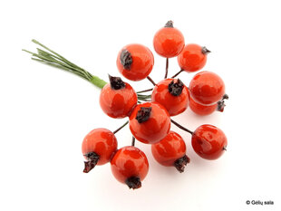 Гроздь красных ягод цена и информация | Принадлежности для флористики | pigu.lt