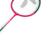 Badmintono rinkinys SMJ TL020, įvairiaspalvis kaina ir informacija | Badmintonas | pigu.lt