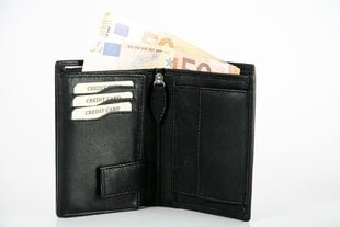 Piniginė vyrams kaina ir informacija | Vyriškos piniginės, kortelių dėklai | pigu.lt