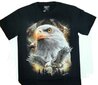 Marškinėliai trumpomis rankovėmis White-headed eagle цена и информация | Vyriški marškinėliai | pigu.lt