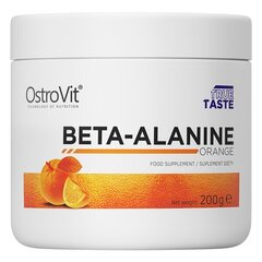 Aminorūgštys OstroVit Beta-Alanine, 200 g kaina ir informacija | Aminorūgštys | pigu.lt