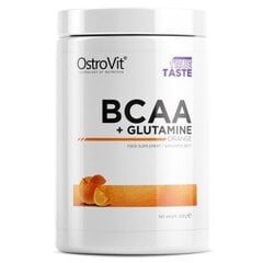 Aminorūgštys OstroVit BCAA+Glutamine Neutralus, 500 g kaina ir informacija | Aminorūgštys | pigu.lt