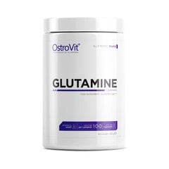 Пищевая добавка OstroVit Glutamine (500 г) цена и информация | Витамины, пищевые добавки, препараты для хорошего самочувствия | pigu.lt