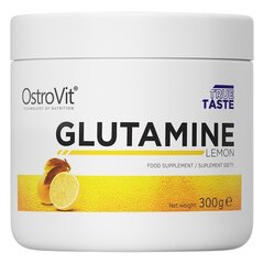 Aminorūgštys OstroVit Glutamine, 300 g kaina ir informacija | Aminorūgštys | pigu.lt