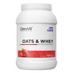 Baltyminiai milteliai OstoVit Oats&Whey 1 Kg, braškių skonio kaina ir informacija | Aminorūgštys | pigu.lt