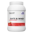 Протеиновый порошок OstoVit Oats & Whey 1 кг, со вкусом клубники