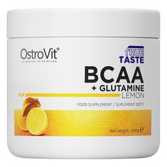 Aminorūgštys OstroVit BCAA + Glutamine, 200 g kaina ir informacija | Aminorūgštys | pigu.lt