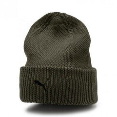 Megzta kepurė Puma SF LS Classic Beanie 02213502, žalia kaina ir informacija | Vyriški šalikai, kepurės, pirštinės | pigu.lt