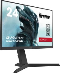 Iiyama 4948570117734 kaina ir informacija | Monitoriai | pigu.lt