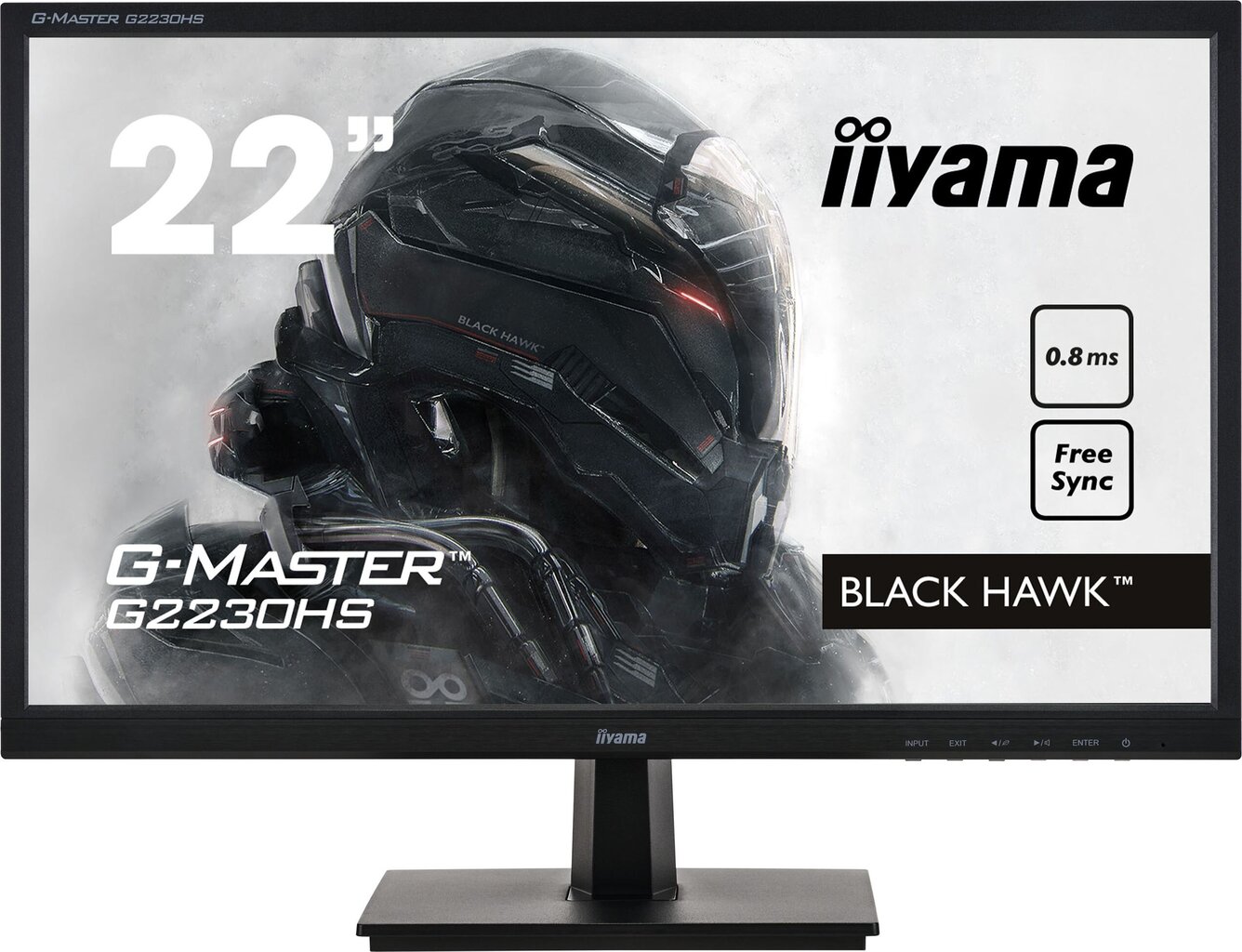 Iiyama 4948570117819 kaina ir informacija | Monitoriai | pigu.lt