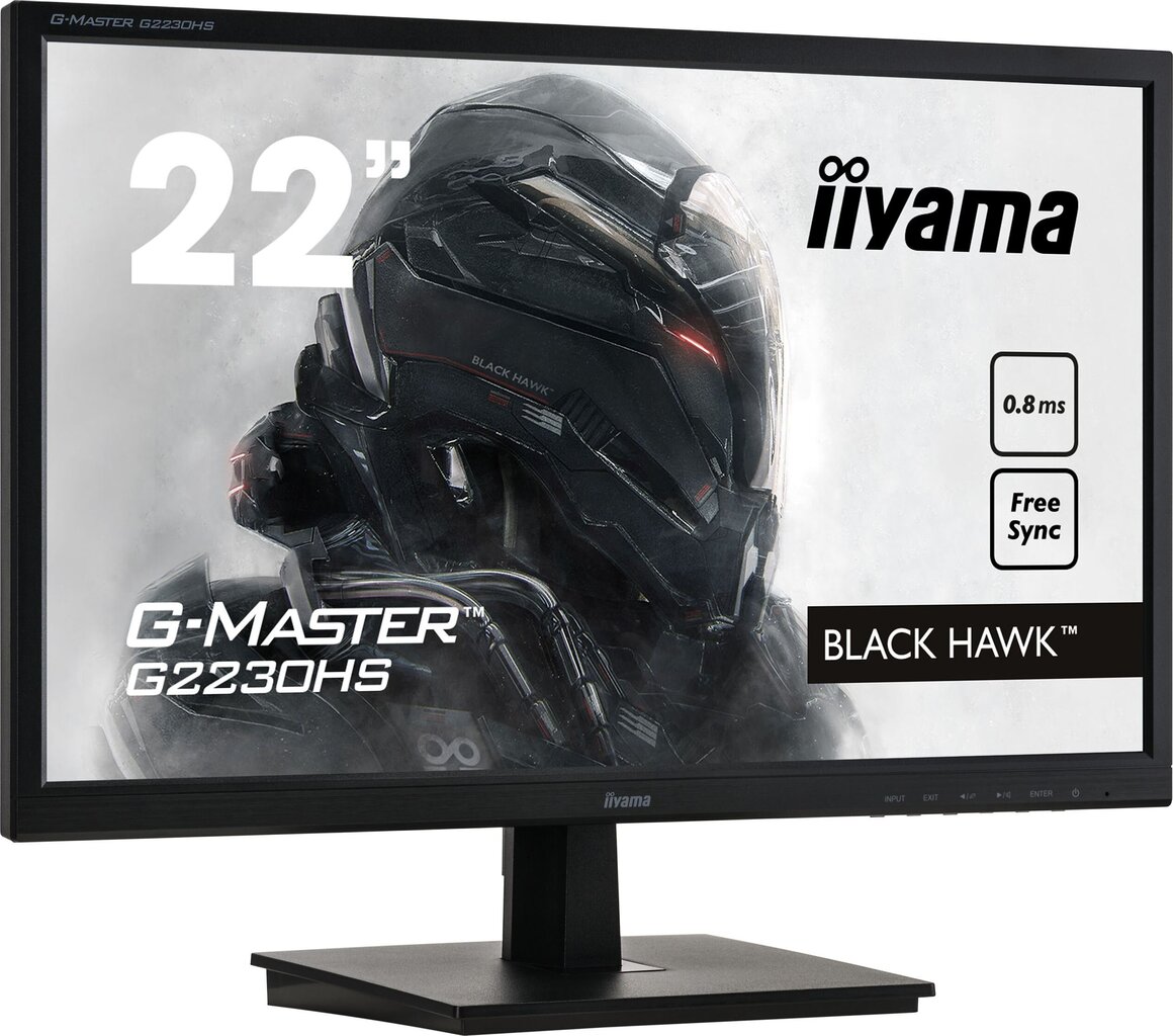 Iiyama 4948570117819 kaina ir informacija | Monitoriai | pigu.lt