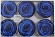 Stabilizuotos Standard rožės 6 vnt., tamsiai mėlyna цена и информация | Miegančios rožės, stabilizuoti augalai | pigu.lt
