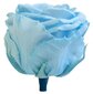 Stabilizuotos Standard rožės 6 vnt., šviesiai mėlyna цена и информация | Miegančios rožės, stabilizuoti augalai | pigu.lt