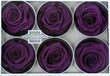 Stabilizuotos Standard rožės 6 vnt., violetinė цена и информация | Miegančios rožės, stabilizuoti augalai | pigu.lt