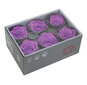 Stabilizuotos Standard rožės 6 vnt., ryški alyvinė цена и информация | Miegančios rožės, stabilizuoti augalai | pigu.lt