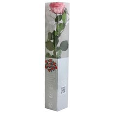 Stabilizuota rožė Amorosa Premium, rožinė kaina ir informacija | Miegančios rožės, stabilizuoti augalai | pigu.lt