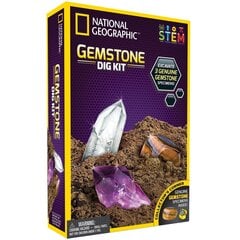 Набор Археологические раскопки National Geographic Gemstone Dig Kit, NGGEM цена и информация | Развивающие игрушки | pigu.lt