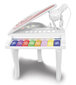 Elektroninis pianinas su mikrofonu Bontempi, 10 2025 цена и информация | Lavinamieji žaislai | pigu.lt