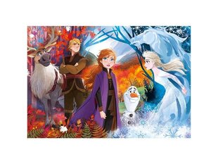 Головоломка Clementoni Maxi Frozen2 24 д. цена и информация | Пазлы | pigu.lt