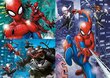Dėlionė Clementoni Super Color Spider-Man 3 x 48 d. kaina ir informacija | Dėlionės (puzzle) | pigu.lt