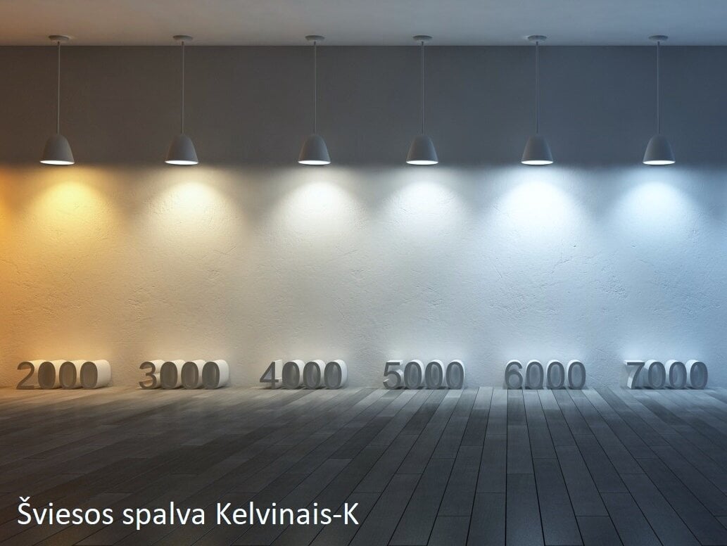 LED šviestuvas G.LUX GR-LED-ROUND-24W цена и информация | Lubiniai šviestuvai | pigu.lt