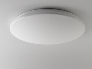 LED светильник G.LUX GR-LED-ROUND-24W цена и информация | Потолочные светильники | pigu.lt