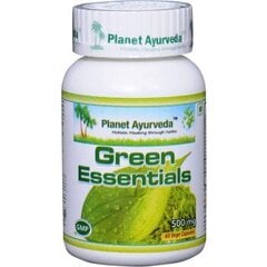 Ежедневная порция зелени, Green EssentialsPlanet Ayurveda™, 60 капсул цена и информация | Витамины, пищевые добавки, препараты для хорошего самочувствия | pigu.lt