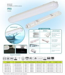 LED IP65 šviestuvas G.LUX GWP-LED-36W kaina ir informacija | Lubiniai šviestuvai | pigu.lt