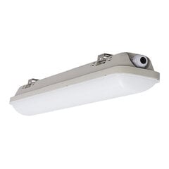 LED IP65 светильник G.LUX GWP-LED-18W цена и информация | Потолочные светильники | pigu.lt