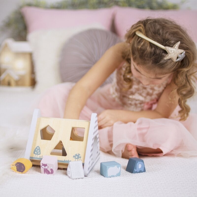 „Viga PolarB“ medinis rūšiavimo rinkinys su kaladėlėmis kaina ir informacija | Žaislai kūdikiams | pigu.lt
