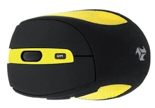 iBOX Bee 2, juoda/geltona kaina ir informacija | Pelės | pigu.lt