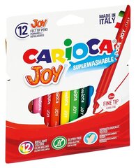 Flomasteriai Carioca Joy, 12 spalvų kaina ir informacija | Flomasteriai Carioca Joy, 12 spalvų | pigu.lt