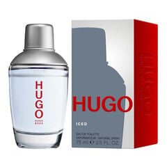 Tualetinis vanduo Hugo Boss Hugo Iced EDT vyrams, 75 ml kaina ir informacija | Hugo Boss Kvepalai, kosmetika | pigu.lt