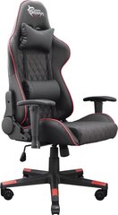 White Shark Gaming Chair Racer-Two цена и информация | Офисные кресла | pigu.lt