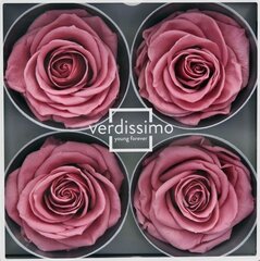 Stabilizuotos Premium rožės 4 vnt., cherry blossom vyšnių žiedu spalvos kaina ir informacija | Miegančios rožės, stabilizuoti augalai | pigu.lt