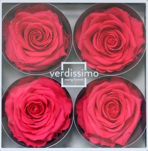Stabilizuotos Premium rožės 4 vnt., tamsiai rožinės kaina ir informacija | Miegančios rožės, stabilizuoti augalai | pigu.lt