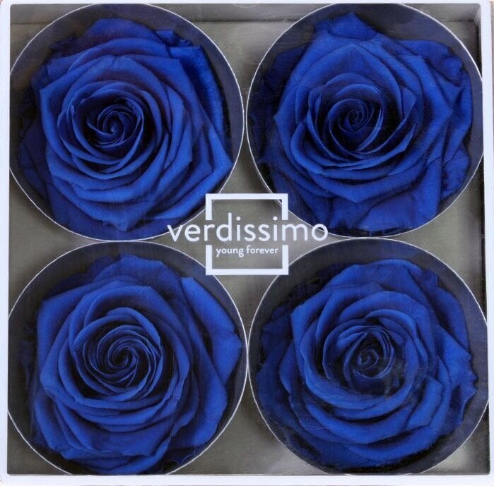 Stabilizuotos Premium rožės 4 vnt., tamsiai mėlynos kaina ir informacija | Miegančios rožės, stabilizuoti augalai | pigu.lt