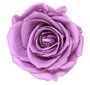 Stabilizuotos Premium rožės 4 vnt., alyvinės kaina ir informacija | Miegančios rožės, stabilizuoti augalai | pigu.lt