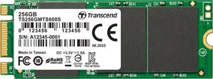 Transcend TS256GMTS600S kaina ir informacija | Vidiniai kietieji diskai (HDD, SSD, Hybrid) | pigu.lt