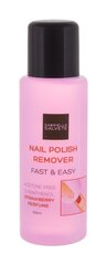 Gabriella Salvete Nail Polish Remover Fast & Easy средство для снятия лака 100 мл цена и информация | Лаки, укрепители для ногтей | pigu.lt